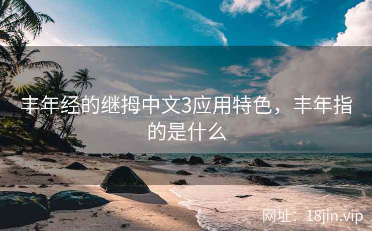 丰年经的继拇中文3应用特色，丰年指的是什么